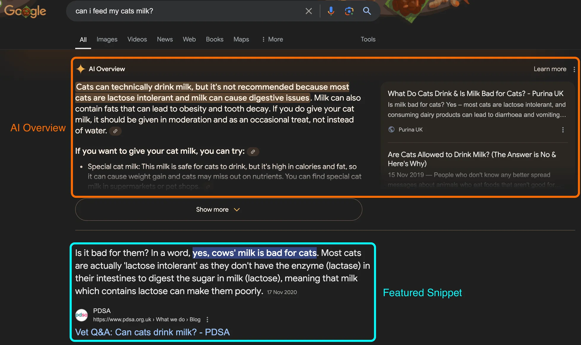 AI Overview example from UK, August 2024