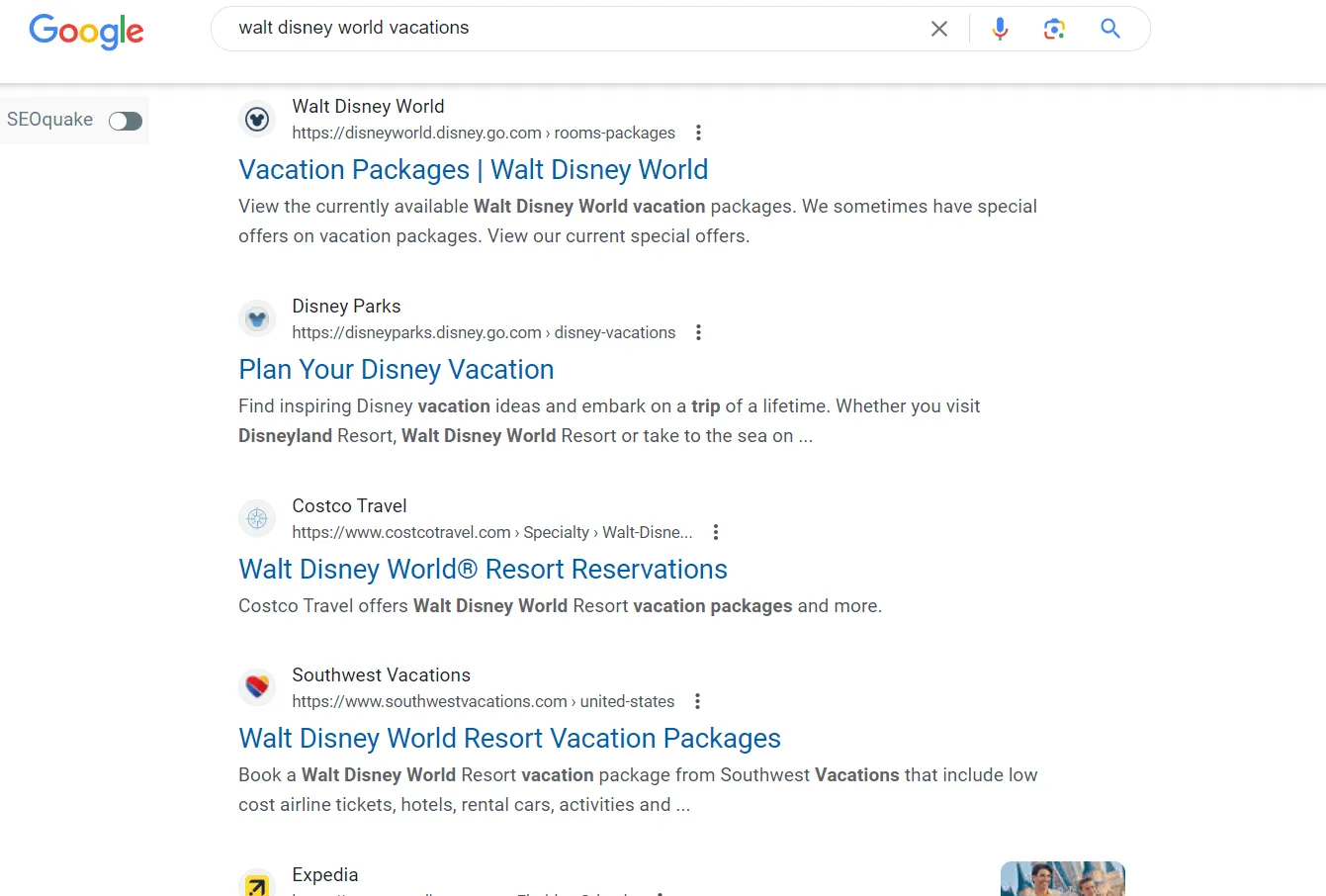 Google search - Walt disney vacations