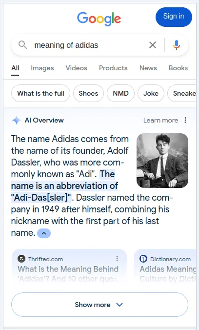 Google AI Overview SERP feature